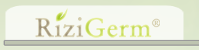 rizigerm 100% rice germ logo