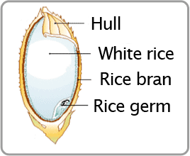 Rice germ composition